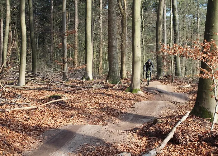 Woudzicht 4* Groesbeek