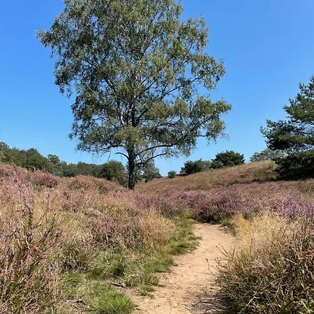 Woudzicht Bed & Breakfast Groesbeek