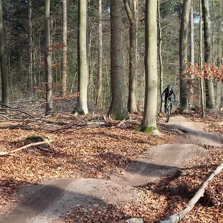 Woudzicht 4* Groesbeek