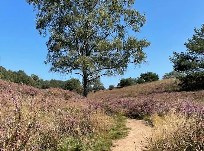 Woudzicht Bed & Breakfast Groesbeek